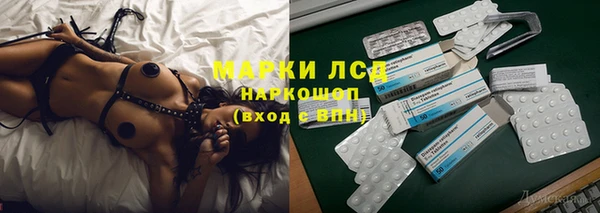 стафф Аркадак