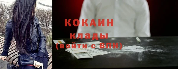 стафф Аркадак