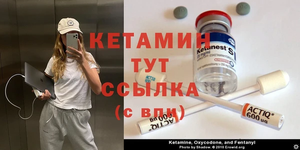 стафф Аркадак