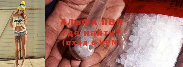 стафф Аркадак