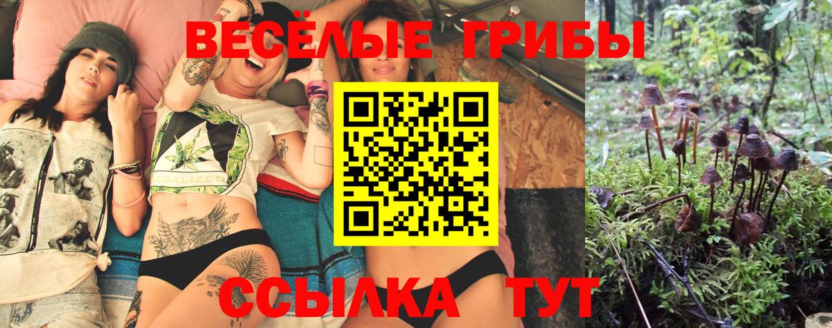 Галлюциногенные грибы MAGIC MUSHROOMS Изобильный